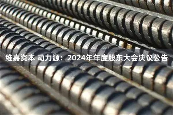 維嘉資本 動(dòng)力源：2024年年度股東大會(huì )決議公告